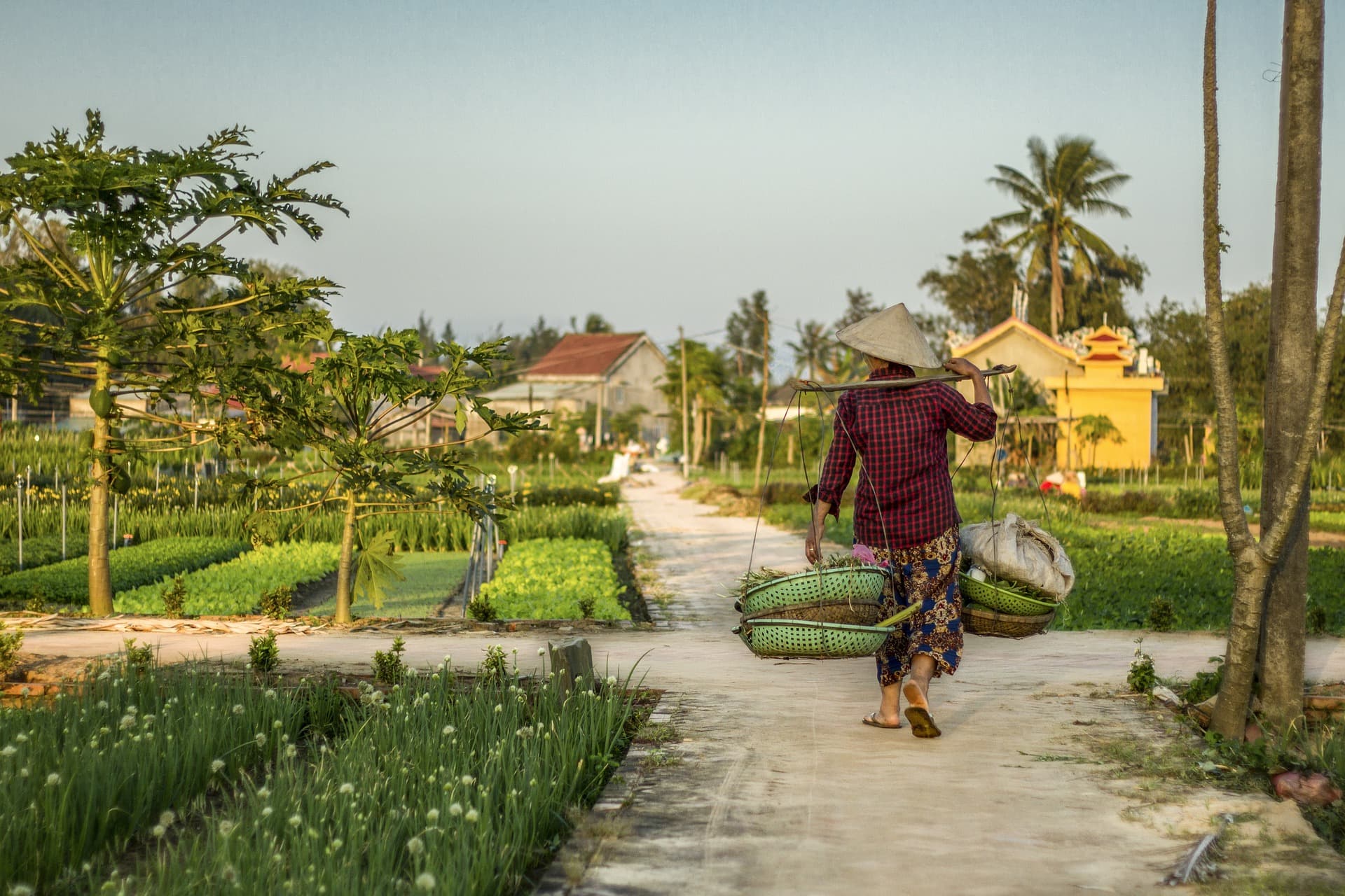 Bổ sung dưỡng chất mùa hè - Ăn gì để cơ thể khỏe mạnh hơn trong thời tiết nắng nóng?